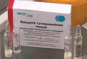tularemia5